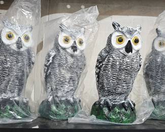 OWL DECOYS