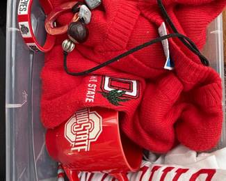 Ohio State Buckeyes Fan Lot