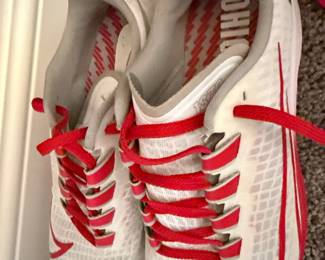Nike Air Zoom Pegasus 40 Ohio State Buckeyes