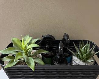 Decorative Basket with Succulents and Spritzer Bottles