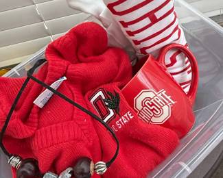 Ohio State Buckeyes Fan Bundle