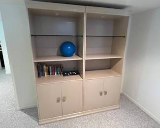 PAIR OF DISPLAY/BOOKCASES