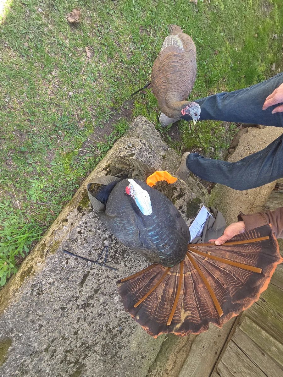Several HIGH QUALITY  DECOYS