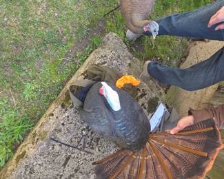 Several HIGH QUALITY  DECOYS