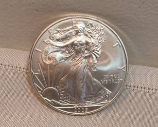 2009 Walking Liberty Silver Coin
