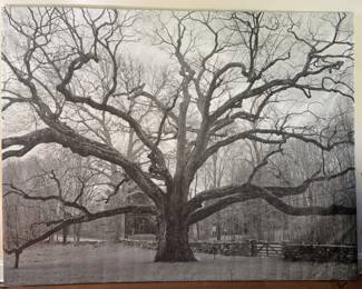 Bedford Oak Large Format Canvas Print - 11 feet wide x 9. 5 feet high - item 16 