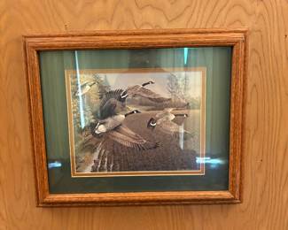 If you like ducks, we have lots of duck prints