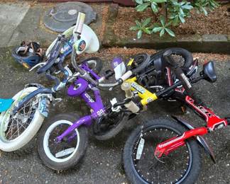 REI, Strider bikes