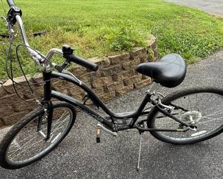 Electra Townie "Flat Foot Technology" Bicycle