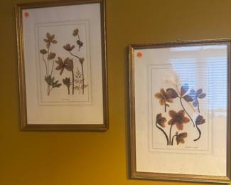 Decor Framed Artwork