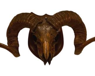 1045 - Ram Skull & Horns on Mount - 10 x 20 x 7