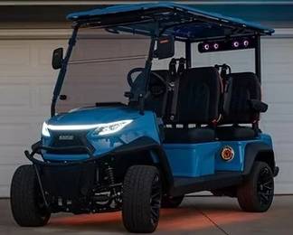 9000 - Street-Legal LSV (Stock photo - not actual) (Description): Shown is a stock photo.  Actual photos of  cart to be sold will be posted once  available.