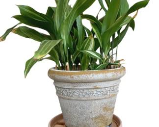 5057 - Planter w/ Roller Stand - 13 x 16