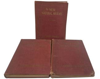 4205 - The New Natural History by J Arthur Thomson (Description): The New Natural History by J. Arthur Thomson,  1926, a three-volume set. The books feature  red cloth bindings with gilt lettering on the  covers and spines. The volumes show wear  consistent with age, including some fraying at the spine edges.
