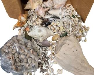 4147 - Box Lot of Seashells (Description): A box lot of assorted seashells. The  collection includes various types and sizes  of natural seashells suitable for decorating,  crafting, or collecting.