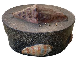 5029 - Seashell Container w/ Seashells - 6 x 10 x 8