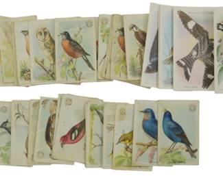 864 - Assorted Useful Birds of America Cards (Description): A collection of assorted Useful Birds of  America cards. These vintage collectible  cards feature illustrations of various bird  species native to North America.