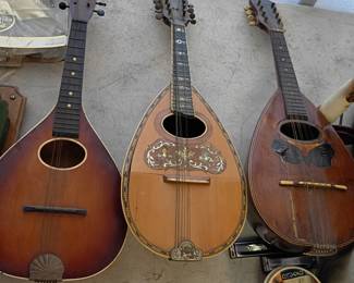 Mandolins 