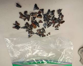 Shark teeth 
