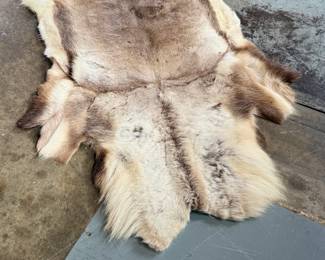 This lot features a natural reindeer or caribou hide rug that measures, 66” H x 48” W.