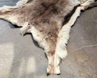 This lot features a natural reindeer or caribou hide rug that measures, 66” H x 48” W.