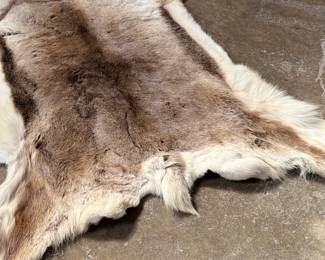 This lot features a natural reindeer or caribou hide rug that measures, 66” H x 48” W.