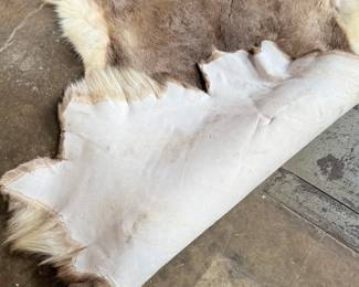 This lot features a natural reindeer or caribou hide rug that measures, 66” H x 48” W.