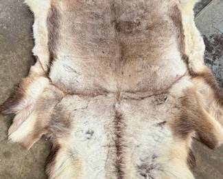 This lot features a natural reindeer or caribou hide rug that measures, 66” H x 48” W.