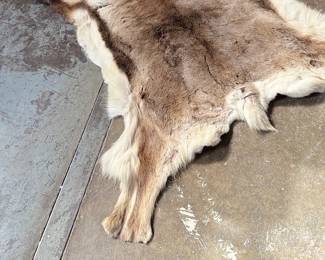 This lot features a natural reindeer or caribou hide rug that measures, 66” H x 48” W.