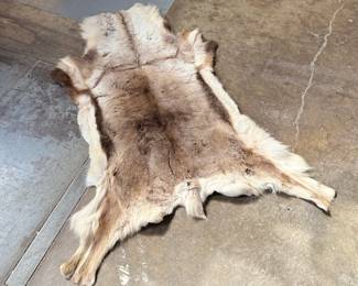 This lot features a natural reindeer or caribou hide rug that measures, 66” H x 48” W.