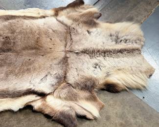 This lot features a natural reindeer or caribou hide rug that measures, 66” H x 48” W.