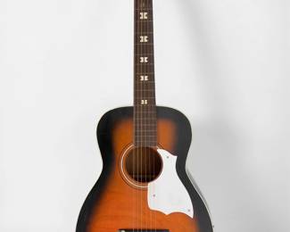 Stella USA Acoustic Guitar