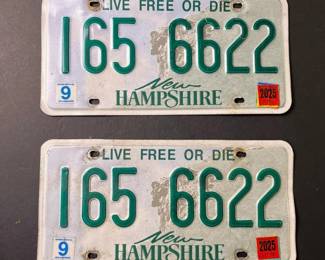 296 pairofnhlicenseplates