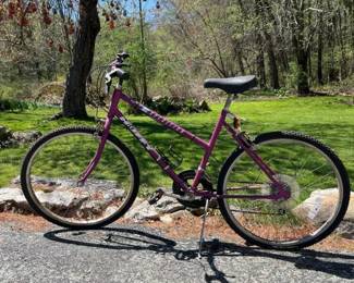 256 purplehuffyexpedition10speedbike