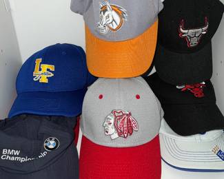 Various sport teams hats