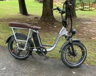 Rad Power Plus RadRunner Electric Utility Bike