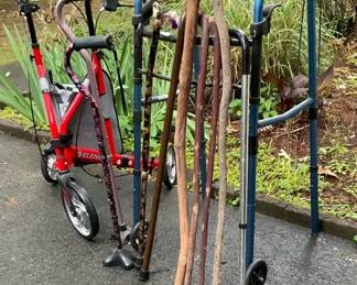 Mobility Walkers, Canes, and Elenker Knee Walker Scooter