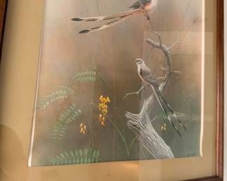 Framed vintage bird print, scissor-tailed flycatchers