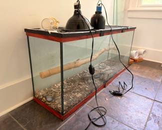 Glass reptile terrarium tank with heat lamps and basking branch