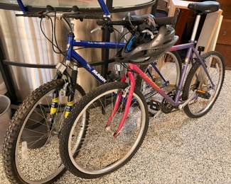 Raleigh and Electra bicycles in blue, red and purple