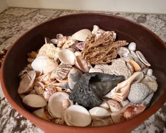 Bowl of assorted seashells