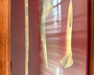 Native American bone awl and antler implements, framed display