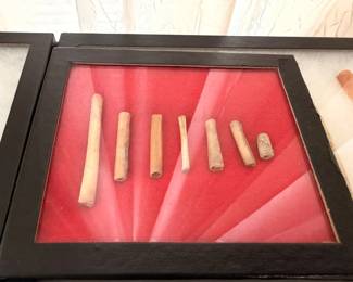 Native American bone tube beads, framed display