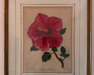 Framed "Hybrid Hibiscus," Etching. Measures 24" x 19" Overall. Photo 1 of 3. 