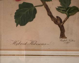Framed "Hybrid Hibiscus," Etching. Measures 24" x 19" Overall. Photo 2 of 3. 