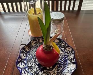 Talavera Style Decorative Plate with Waxed Amaryllis Bulb