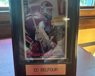 Ed Belfour Chicago Blackhawks  Score All Rookie Team Hockey Card Display