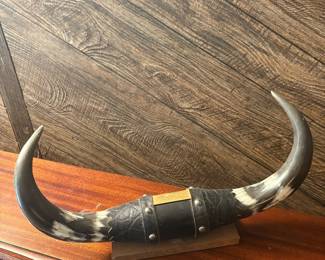 Mounted Texas Longhorn Steer Horns with Inscribed Plaque