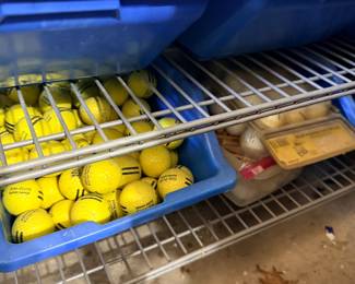 Tons of Golf Balls
