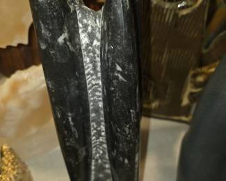 Orthoceras fossil